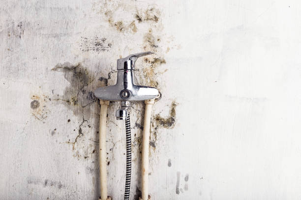 Water Damage Restoration in Eufaula, AL